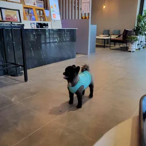 머문 리뷰 사진