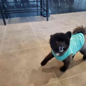 머문 리뷰 사진