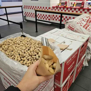 파이브가이즈 사진