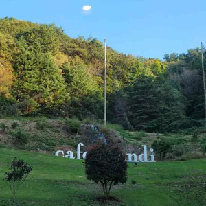 카페 만디 사진 1