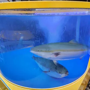 해적쌀롱 주남로 리뷰 사진