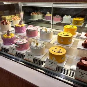 카페 노티드 리뷰 사진