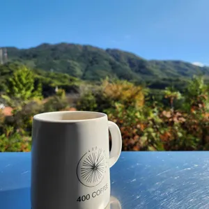 포공영 커피 사진