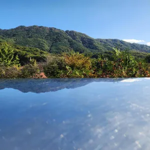 포공영 커피 리뷰 사진