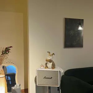 잔잔한숲 리뷰 사진