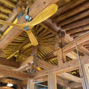 하녹 리뷰 사진