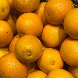 아메리칸트레일러 스타필드시티 리뷰 사진