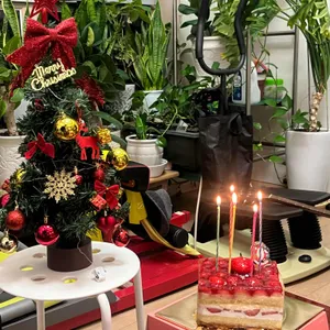 샹끄발레르 리뷰 사진