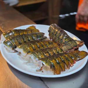 코하마 대표 사진