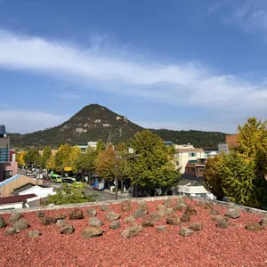 이도림 블로트커피 X 베이크 리뷰 사진