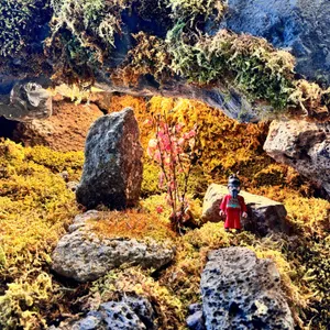 이도림 블로트커피 X 베이크 리뷰 사진