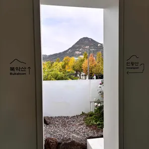 이도림 블로트커피 X 베이크 리뷰 사진