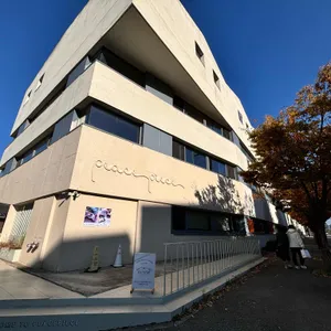 피스피스 리뷰 사진