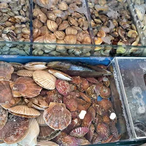 서해호 리뷰 사진