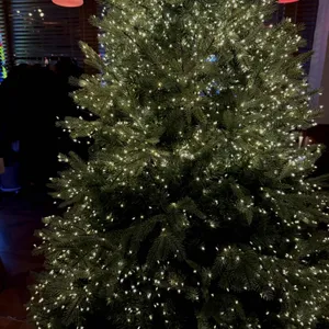 카페 틸데 리뷰 사진