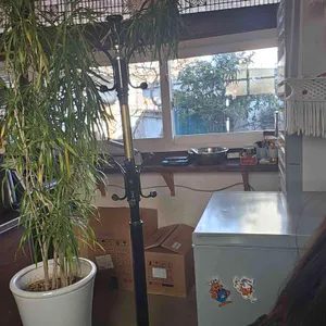 크로프트커피 리뷰 사진