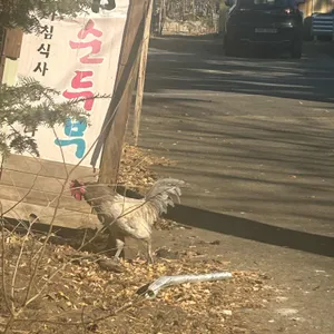 토담순두부 리뷰 사진