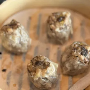 불이아 대표 사진