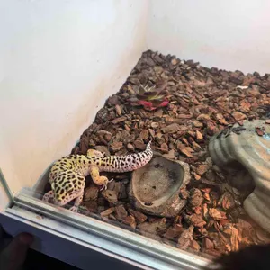 작은연못 리뷰 사진