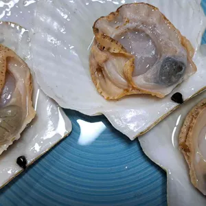 서해호 리뷰 사진