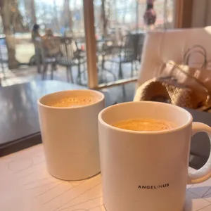 엔제리너스 사진