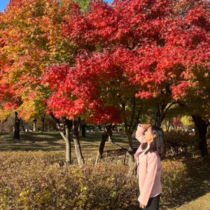 등촌샤브칼국수 리뷰 사진