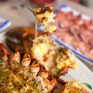 돌고래횟집 사진