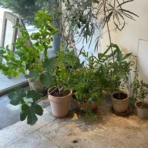 도코로 리뷰 사진