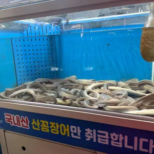 경북산꼼장어 리뷰 사진