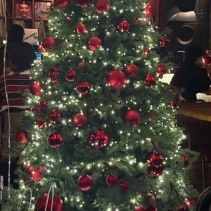 다이어메이커 리뷰 사진