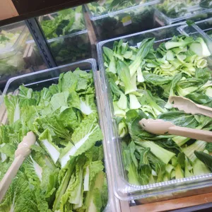 로운 샤브샤브 리뷰 사진