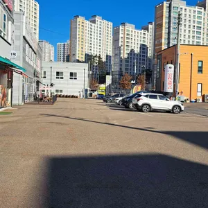 나무서리어죽 리뷰 사진