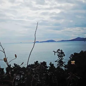 카페플럼 리뷰 사진