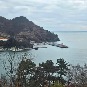 카페플럼 리뷰 사진