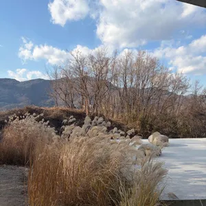 콘크리트월 리뷰 사진