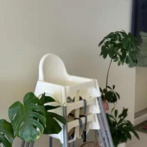 요신의하루 리뷰 사진