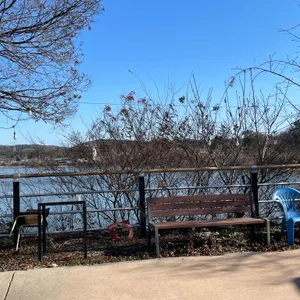 다솜차반 리뷰 사진