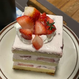 브레니파이칸틴 사진