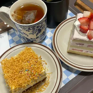 브레니파이칸틴 사진