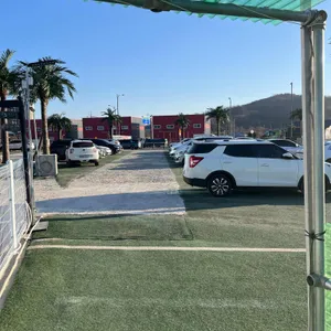 하패리 61 리뷰 사진