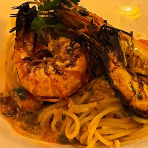 일루카 대표 사진