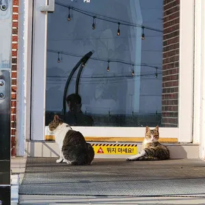 소원을말해봐 대표 사진