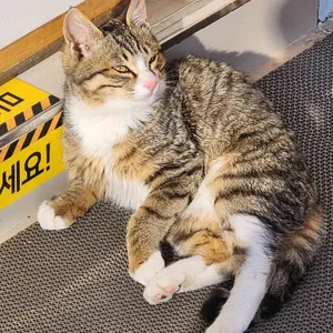 소원을말해봐 리뷰 사진