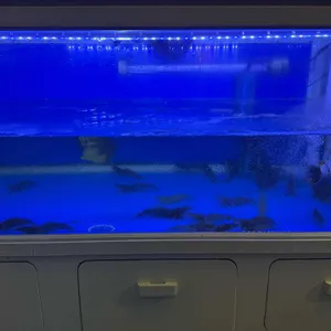 자갈마당 리뷰 사진