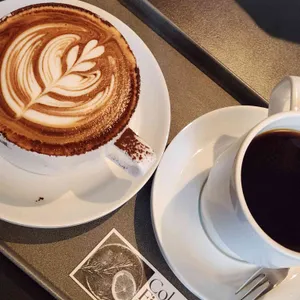 모센트 대표 사진