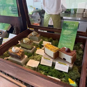 오프더월 리뷰 사진