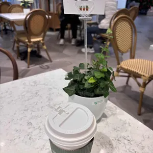 그리니쉬 가드닝 카페 리뷰 사진