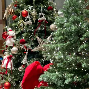 아브니르 리뷰 사진