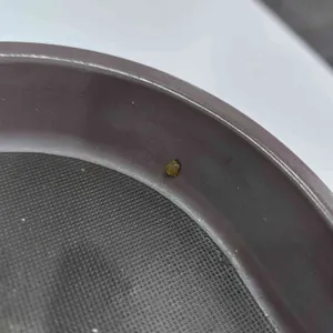 이삭토스트 리뷰 사진