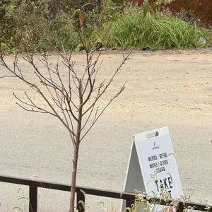 다방향 커피 컴퍼니 리뷰 사진